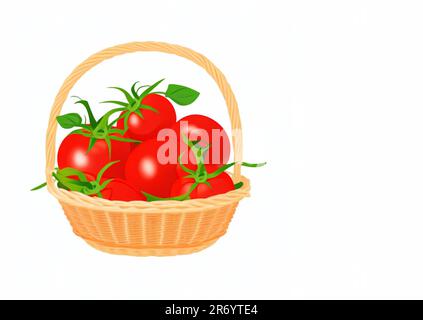 fresh tomato vegetable beautiful closeup copy space for text isolated on white background Stock Photo