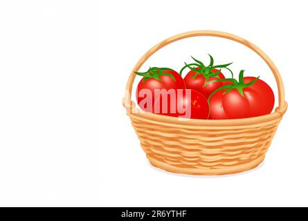 fresh tomato vegetable beautiful closeup copy space for text isolated on white background Stock Photo