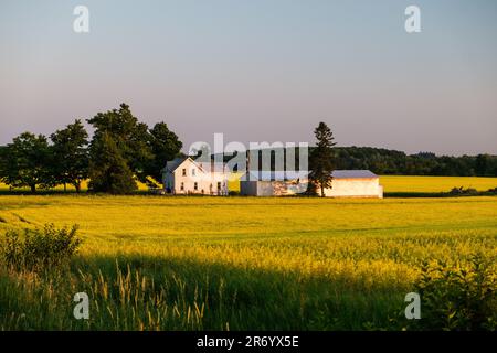 A rural landscape featuring a grassy field dotted with trees and farm buildings Stock Photo