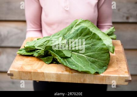 Organic collard greens hi-res stock photography and images - Page 3 - Alamy