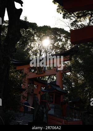 A man in the traditional Japanese archway, illuminated by the rays of the sun Stock Photo