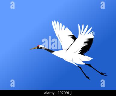 chinese red-crowned crane fly in blue sky vector Stock Vector