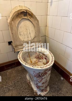 Painted china toilet in the Gargantini Mansion, now part of the National Museum of Wine & Grape Harvest, Maipu, Argentina.  Bautista Gargantini was co Stock Photo
