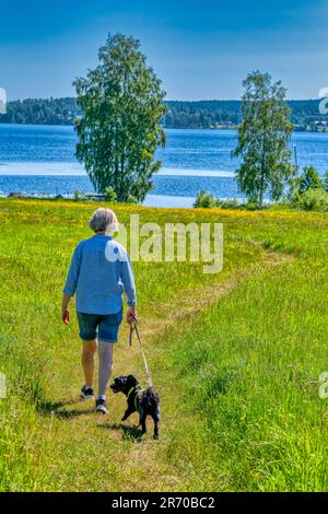 Woman taking a walk with her dog on a sunny summer day Stock Photo