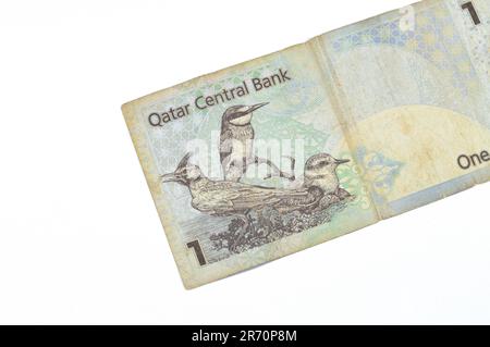 reverse side of 1 Qatari Riyal cash money currency of Qatar banknote with native birds Crested Lark Galerida cristata, Eurasian Bee-Eater Merops apias Stock Photo