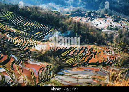 A wide landscape featuring an array of rolling, Yuan Yang terraces with ...