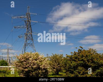 Pylons at the National Grid Salthome Substation seen against a blue sky. Stock Photo