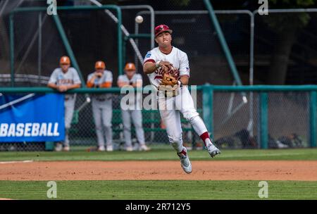 June 10 2023 Palo Alto CA U.S.A. Texas infielder Mitchell Daly (19),Texas  catcher / third base Peyton Powell (15),Texas infielder Jack O'Dowd (27)and  Texas infielder Jared Thomas (9)looks on as the new