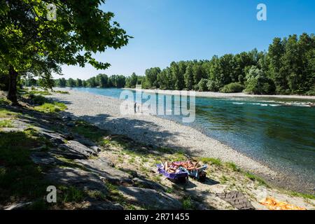 Parco naturale lombardo della valle del ticino. castelletto di cuggiono. italy Stock Photo