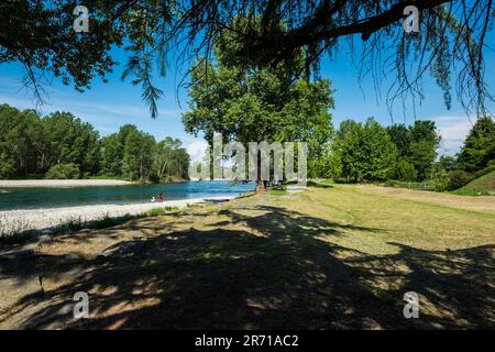 Parco naturale lombardo della valle del ticino. castelletto di cuggiono. italy Stock Photo