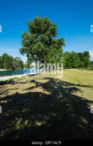 Parco naturale lombardo della valle del ticino. castelletto di cuggiono. italy Stock Photo