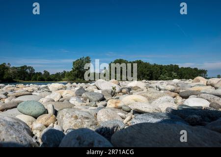 Parco naturale lombardo della valle del ticino. castelletto di cuggiono. italy Stock Photo