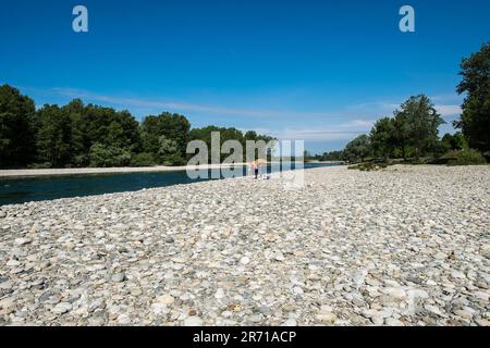 Parco naturale lombardo della valle del ticino. castelletto di cuggiono. italy Stock Photo