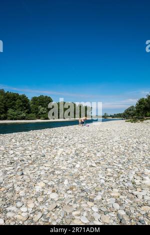 Parco naturale lombardo della valle del ticino. castelletto di cuggiono. italy Stock Photo