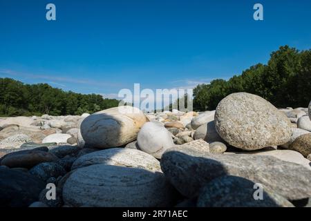 Parco naturale lombardo della valle del ticino. castelletto di cuggiono. italy Stock Photo