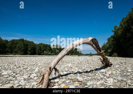 Parco naturale lombardo della valle del ticino. castelletto di cuggiono. italy Stock Photo