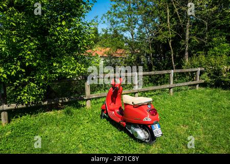 Vespa. parco naturale lombardo della valle del ticino. castelletto di cuggiono. italy Stock Photo