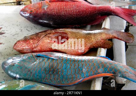 Fish market. Jeddah. Saudi Arabia Stock Photo