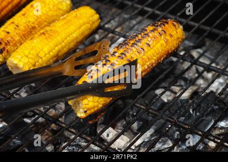 Corn cobs roasting on a bbq grill. Close up. Stock Photo