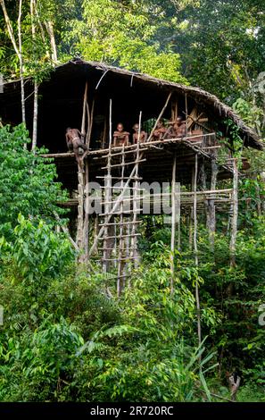 Several People Of The Korovai Tribe Are Sitting In A Traditional Jungle ...