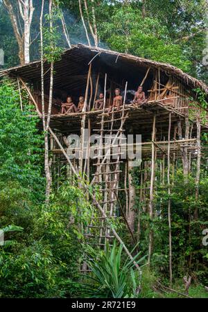 Several People Of The Korovai Tribe Are Sitting In A Traditional Jungle ...