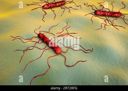 Listeria monocytogenes bacterium, computer illustration. L. monocytogenes is the causative agent of the human disease listeriosis. Listeriosis is cont Stock Photo
