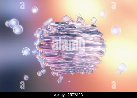 Computer artwork of the Golgi apparatus of the human cell. This organelle functions as a central delivery system for the cell. Its primary function is Stock Photo