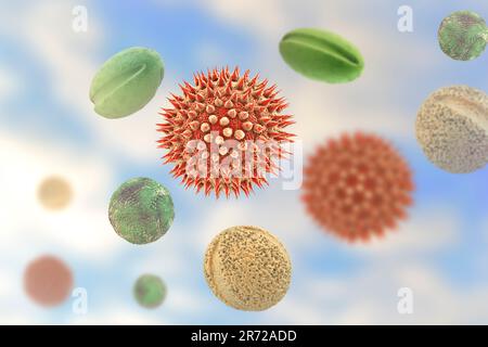 Pollen grains from different plants, conputer illustration. Pollen grain size, shape and surface texture differ from one plant species to another, as Stock Photo