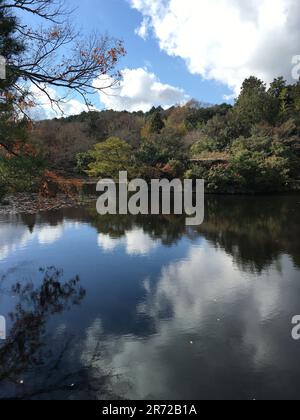 Tranquil Landscape of River Reflecting the Clear Blue Sky and Clouds ...