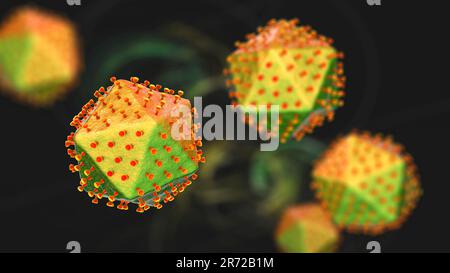 African swine fever virus, illustration. This virus is a member of the iridovirus group that causes African swine fever, a haemorrhagic fever in pigs Stock Photo