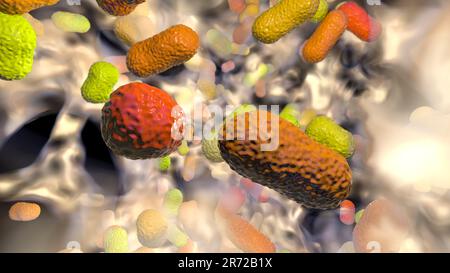 Multi-drug resistant Acinetobacter baumannii bacteria inside biofilm, computer illustration. A. baumannii is a Gram-negative, oxidase negative, aerobi Stock Photo