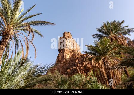 Old Aguellouy agadir in Amtoudi, an old granary, in the Anti-Atlas mountains of Morocco Stock Photo