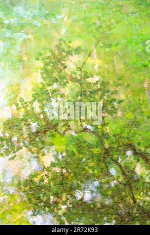 Reflections of tree branches and leaves on a river with flowing water in an English woodland. Stock Photo