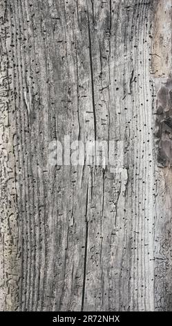 Close up photo of an old wooden board, rustic background or wallpaper. Stock Photo