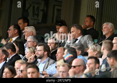 12 June 2023, Bremen: Soccer: International match, Germany - Ukraine, at wohninvest Weserstadion. Oleksii Makeiev (second row top l-r), Ambassador of Ukraine to Germany, German President Frank-Walter Steinmeier, DFB President Bernd Neuendorf, DFL Supervisory Board Chairman Hans-Joachim Watzke are seated in the stands alongside Rudi Völler, Director of the German senior men's national team. IMPORTANT NOTE: In accordance with the requirements of the DFL Deutsche Fußball Liga and/or the DFB Deutscher Fußball-Bund, it is prohibited to exploit or have exploited any photographs taken in the stadium Stock Photo