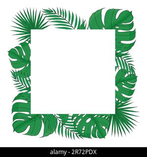 Tropical leaves summer square white frame with mostera, palm leaf. Hand drawn vector template for design, card, invitation, poster Stock Vector