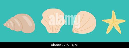 Different sea shells and sea star in a row, flat vector illustration Stock Vector