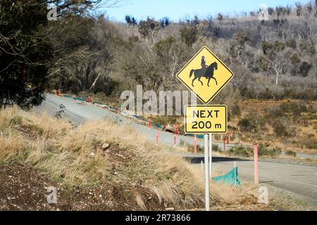 Yellow caution sign warning of Horse Riders near Wares Yards Camping Grounds on Tantangara Road Kosciuszko National Park Stock Photo