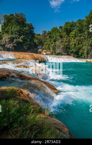 The Cascadas de Agua Azul (Spanish for 'Blue Water waterfall') are a series of waterfalls found on the Xanil River in the southern Mexican state of Ch Stock Photo