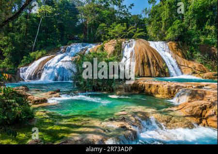 The Cascadas de Agua Azul (Spanish for 'Blue Water waterfall') are a series of waterfalls found on the Xanil River in the southern Mexican state of Ch Stock Photo
