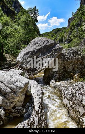 The gorge of the river Calavon near the village of Oppedettes in the Luberon Natural Park, in Provence, in the Provence-Alpes-Côte d'Azur region, in t Stock Photo