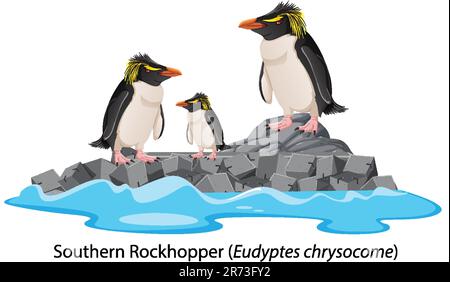 Southern rockhopper penguin cartoon on the rock illustration Stock Vector
