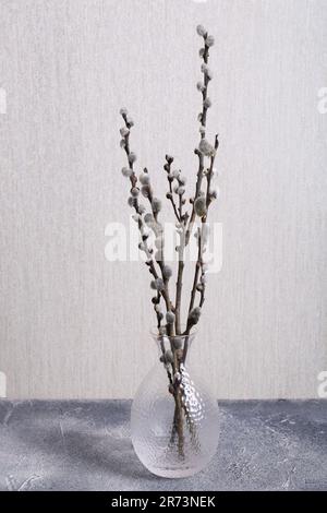 Glass vase with pussy willow tree branches on white table indoors Stock  Photo - Alamy