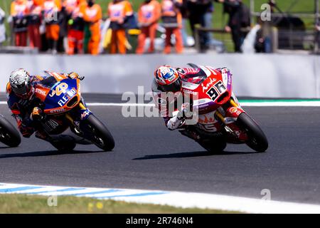 PHILLIP ISLAND, AUSTRALIA - OCTOBER 16: Jake Dixon of United Kingdom on the Aspar Team Gasgas during the Moto2 race at The 2022 Australian MotoGP at The Phillip Island Circuit on October 16, 2022 in Phillip Island, Australia. Stock Photo