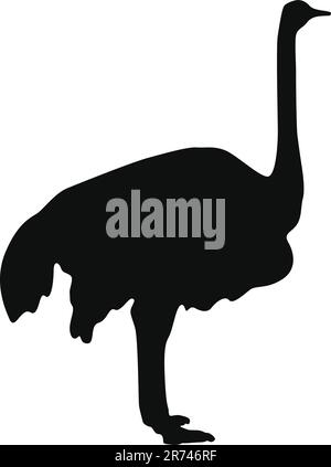 Ostrich silhouette vector illustration Stock Vector