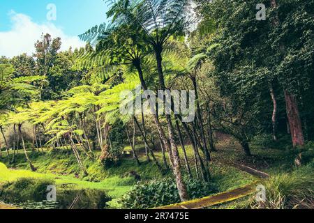 Beatiful Bali Island of Indonesia Stock Photo