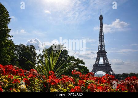Eiffel Tower on a Flowerbed - Paris, France Stock Photo