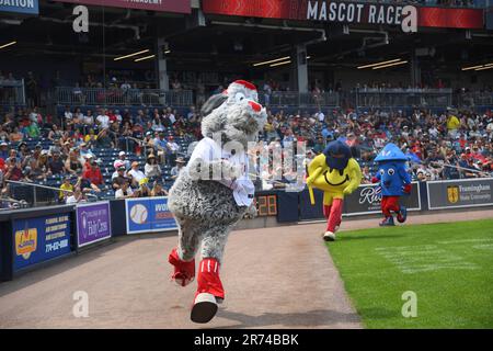 WORCESTER, MA - JUNE 11: Worcester Red Sox mascot Smiley Ball performs  before an MiLB AAA International League game between the Rochester Red Wings  and Worcester Red Sox on June 11, 2023