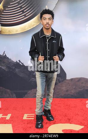 Los Angeles, CA. 12th June, 2023. Miles Brown at arrivals for THE FLASH Premiere, TCL Chinese Theatre, Los Angeles, CA June 12, 2023. Credit: Elizabeth Goodenough/Everett Collection/Alamy Live News Stock Photo
