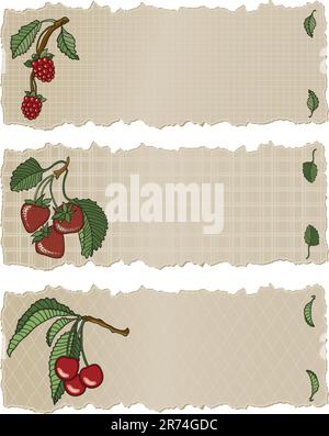 Vector art in Illustrator 8. Three delicious fruits hand drawn in a loose graphic style on a torn paper banner. All elements on separate layers. Stock Vector